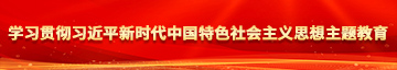 大黑鸡巴肏大屄视频学习贯彻习近平新时代中国特色社会主义思想主题教育