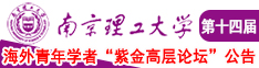 抽插1视频免费南京理工大学第十四届海外青年学者紫金论坛诚邀海内外英才！